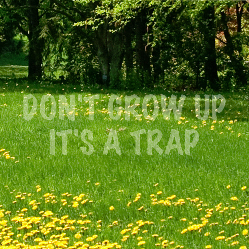 Don't Grow Up It's A Trap