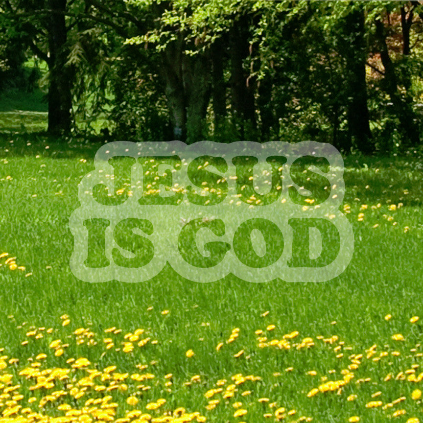 Jesus Is God