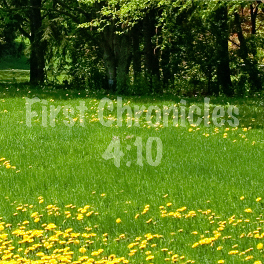 First Chronicles 4:10