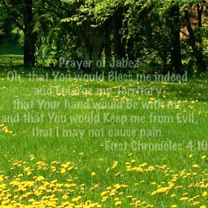 First Chronicles 4:10 Prayer Of Jabez