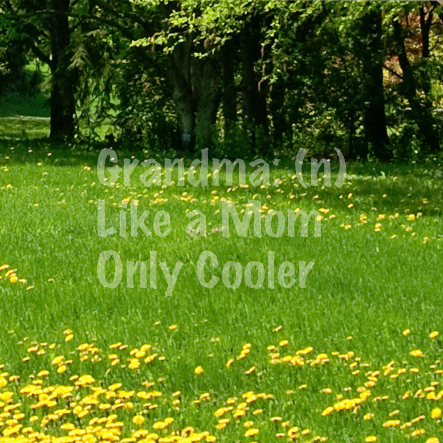 Grandma Like Mom Only Cooler