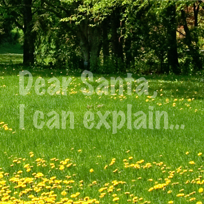 Dear Santa I Can Explain