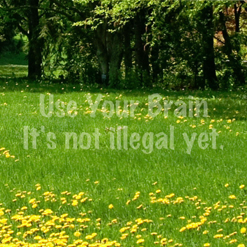 Use Your Brain Not Illegal Yet