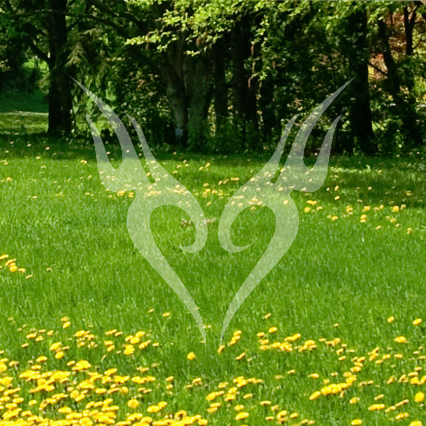 Winged Heart Tribal