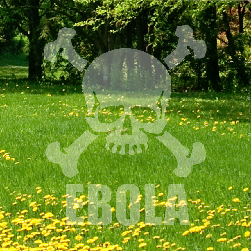 Skull Crossbones Ebola