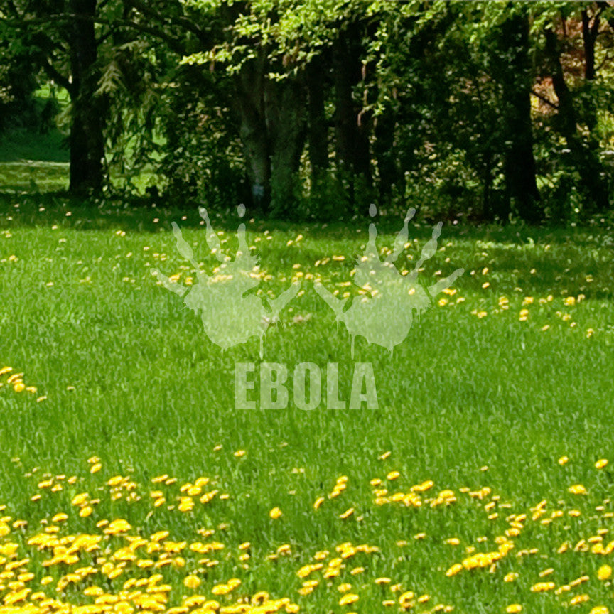 Bloody Hands Ebola