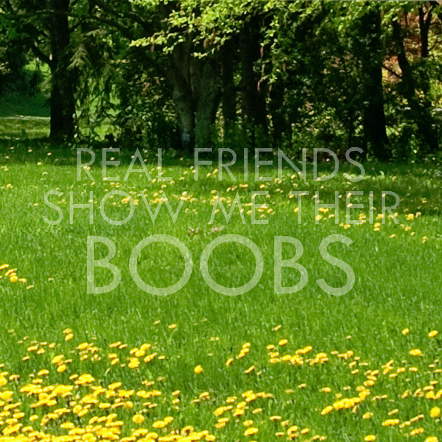 Real Friends Show Me Boobs