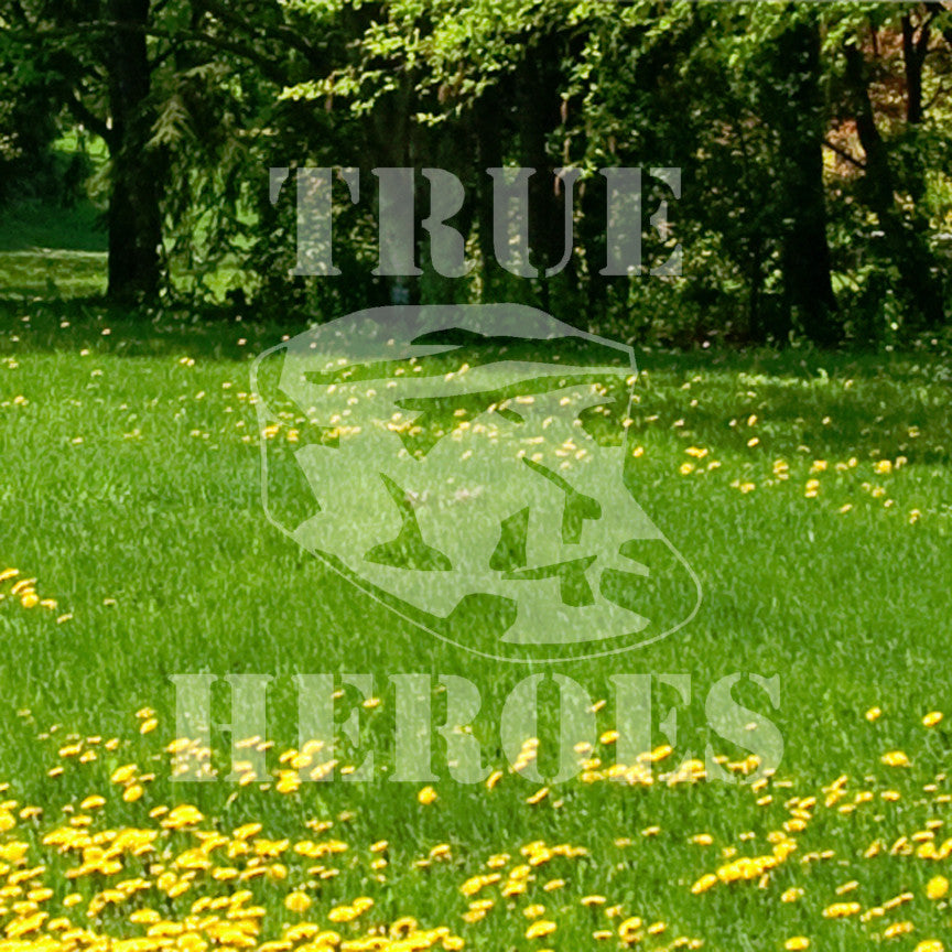 True Heroes Military Cap
