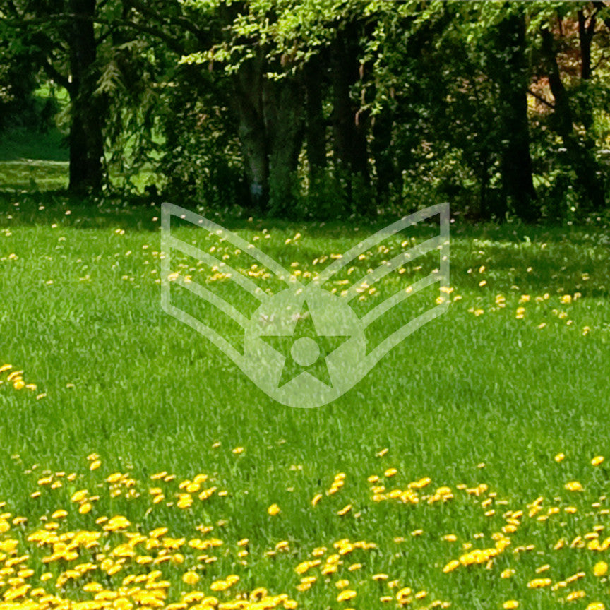 Senior Airman Air Force Patch