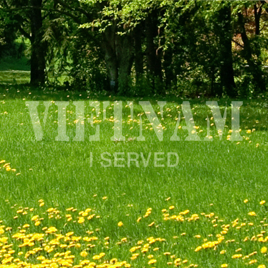 Vietnam I Served