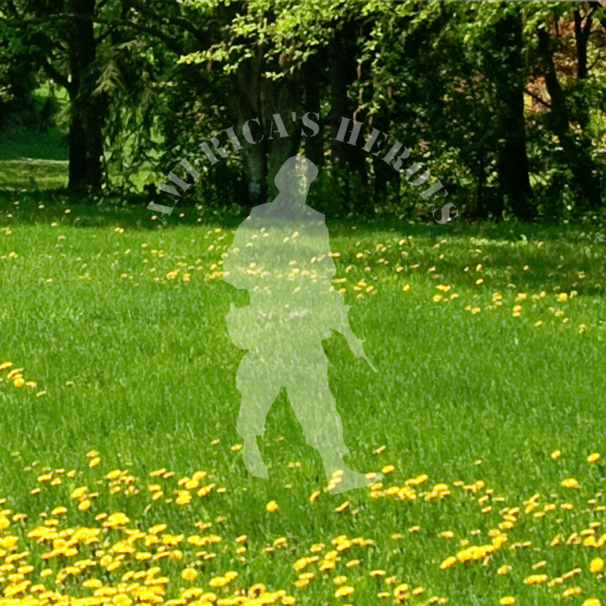 America's Heroes Army Soldier
