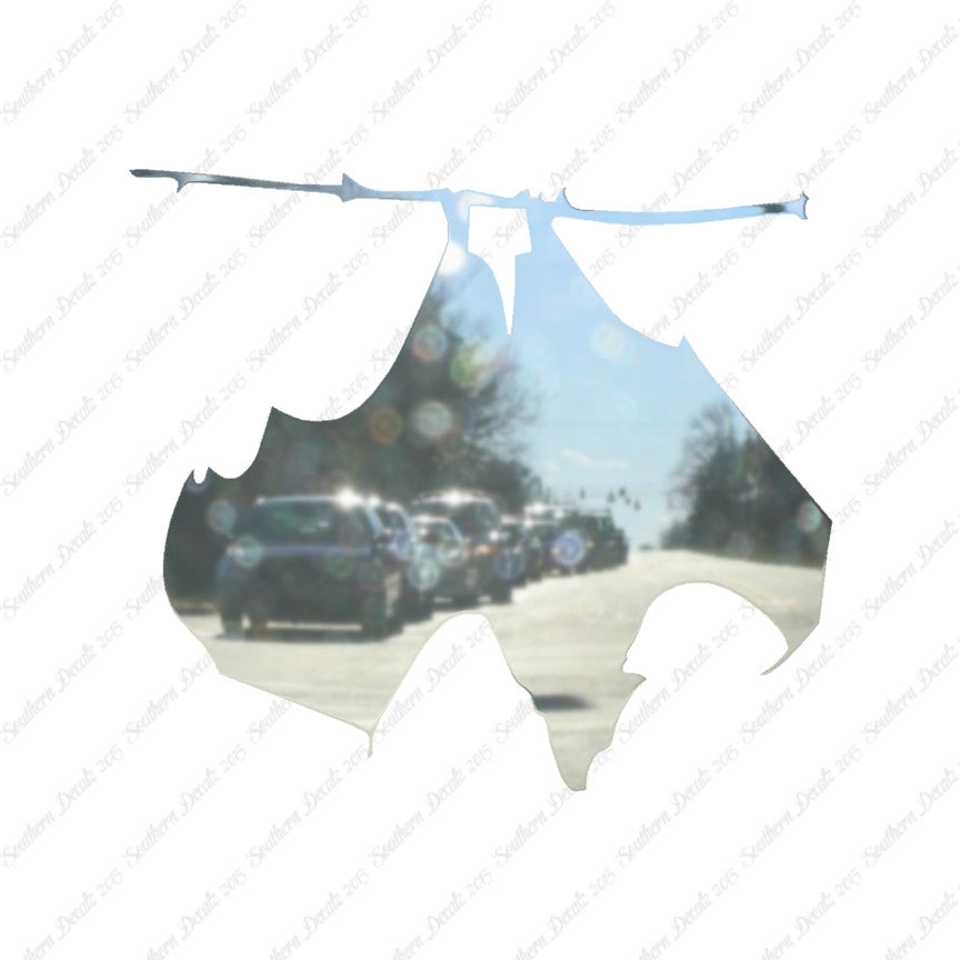 Hanging Bat