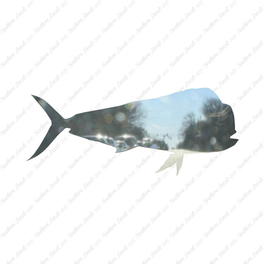 Mahi Mahi Dolphin