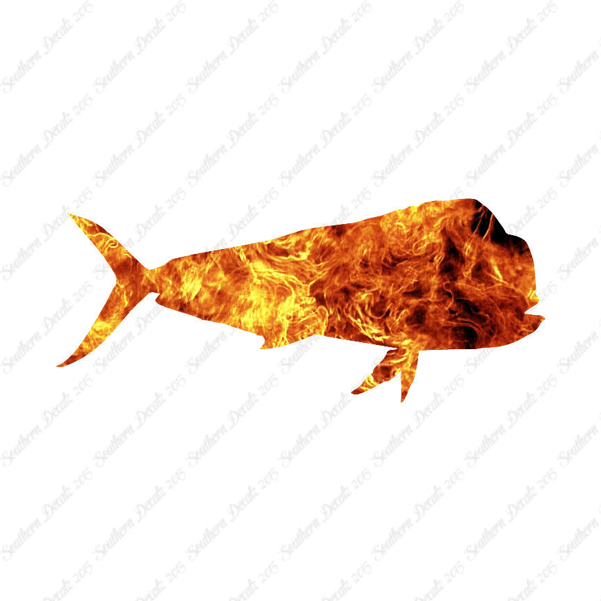 Mahi Mahi Dolphin