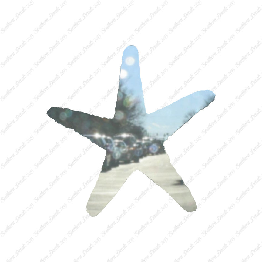 Starfish Star Fish