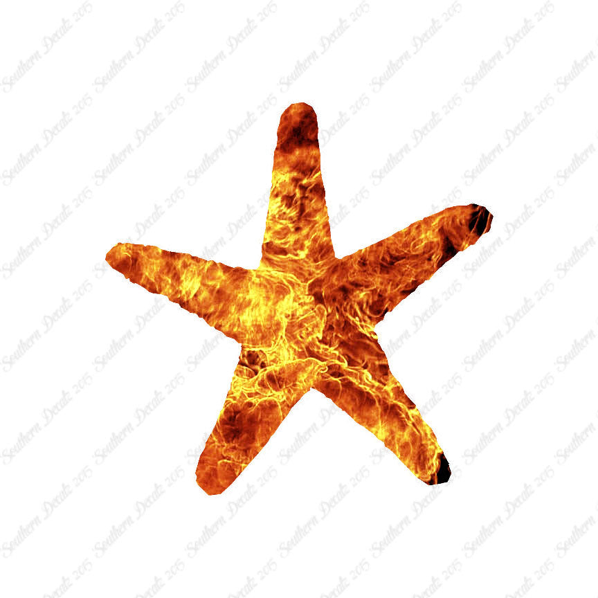 Starfish Star Fish