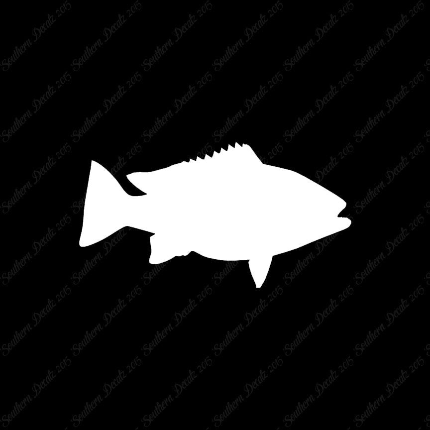 Snapper Fish