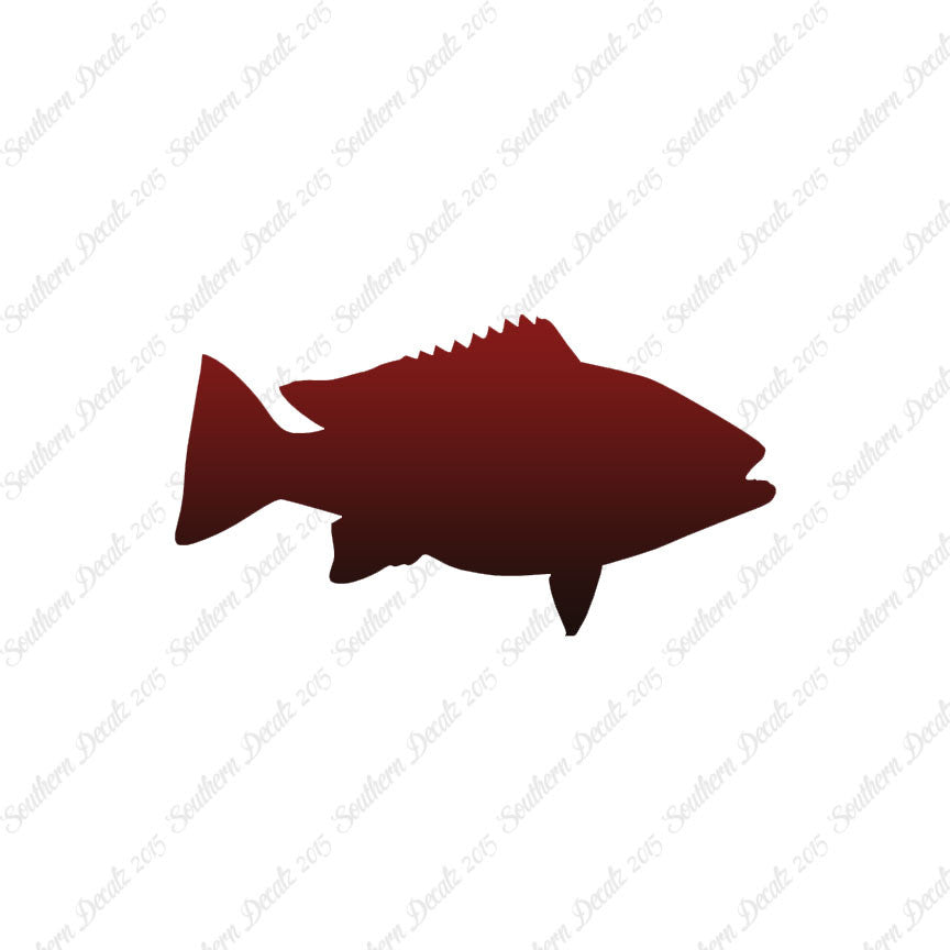 Snapper Fish