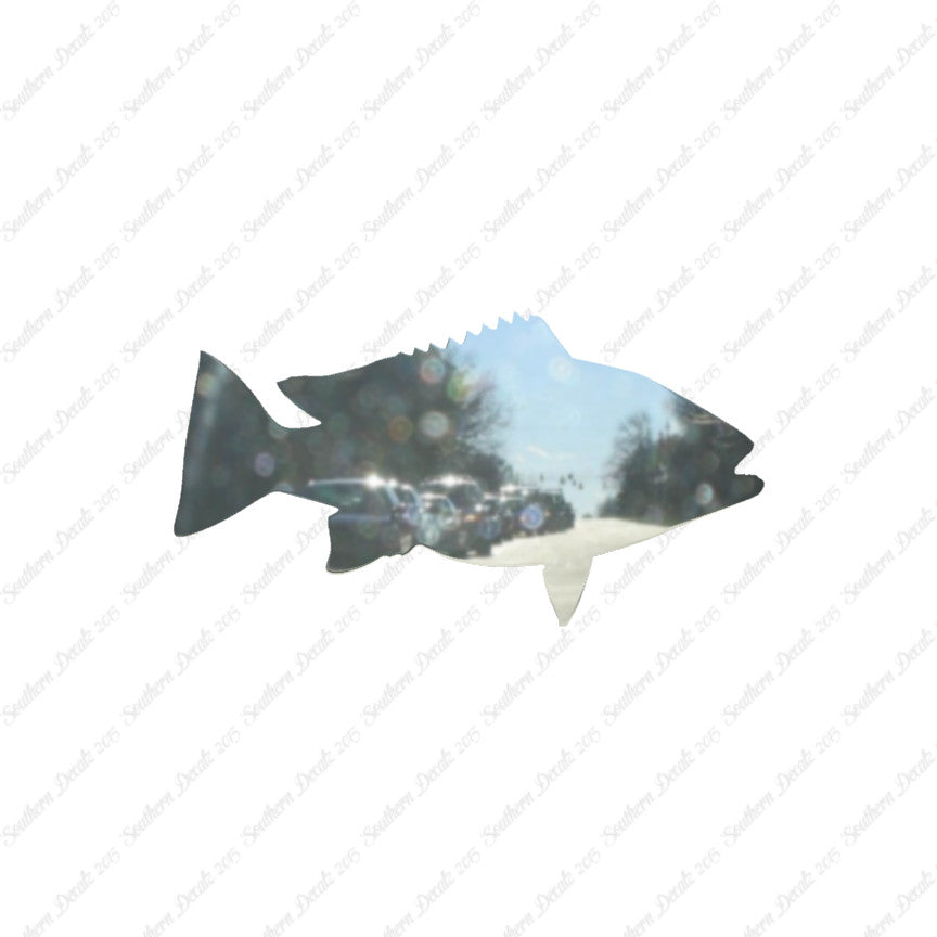 Snapper Fish