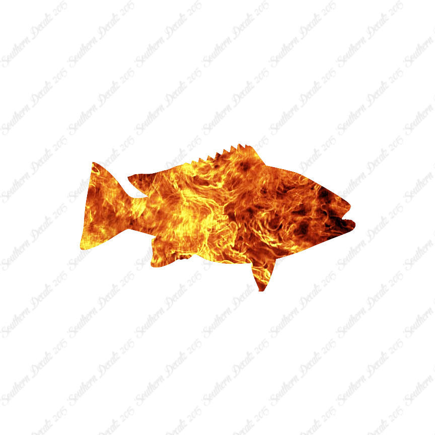 Snapper Fish