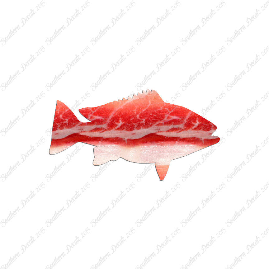 Snapper Fish