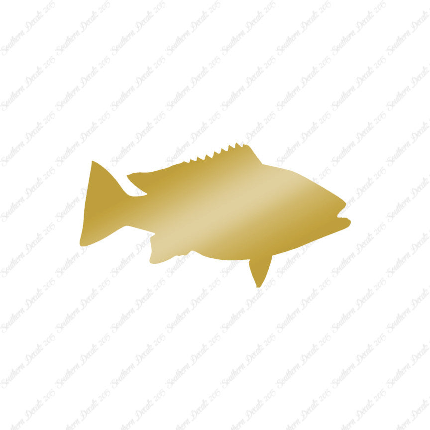 Snapper Fish