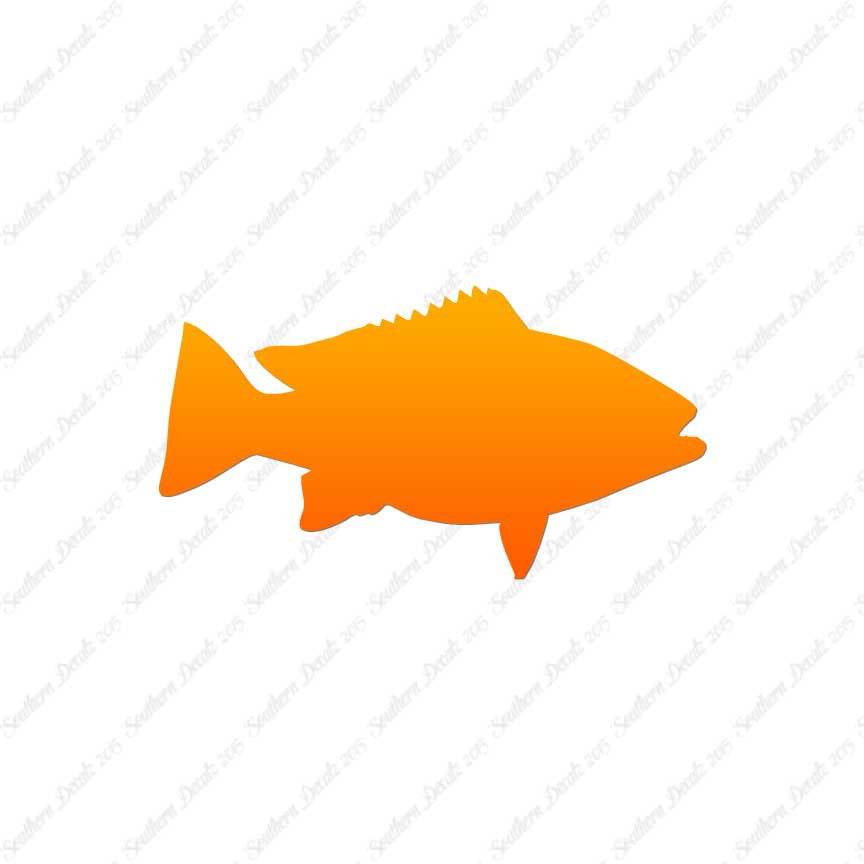 Snapper Fish
