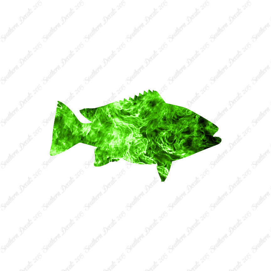Snapper Fish