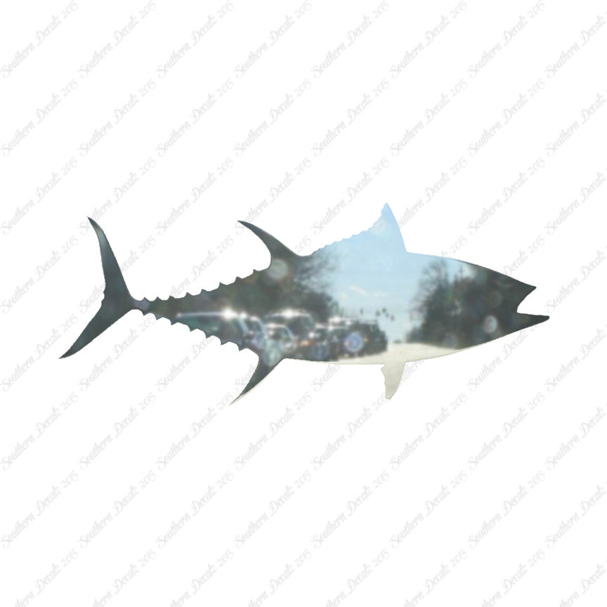Bigeye Tuna Fish