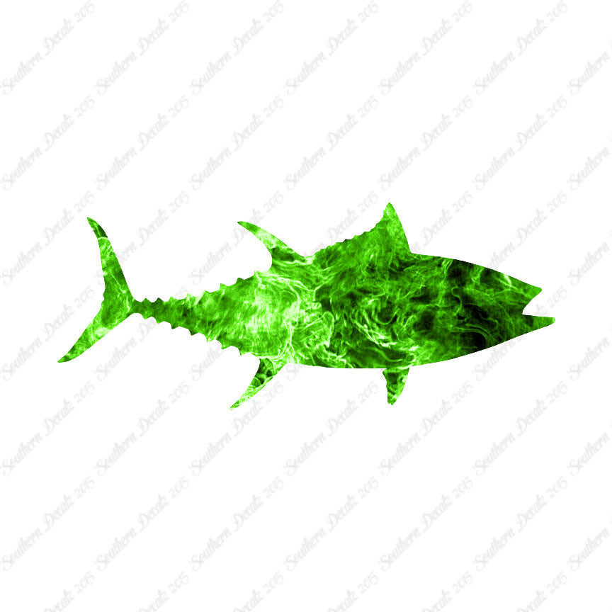 Bigeye Tuna Fish