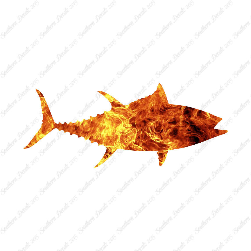 Bigeye Tuna Fish