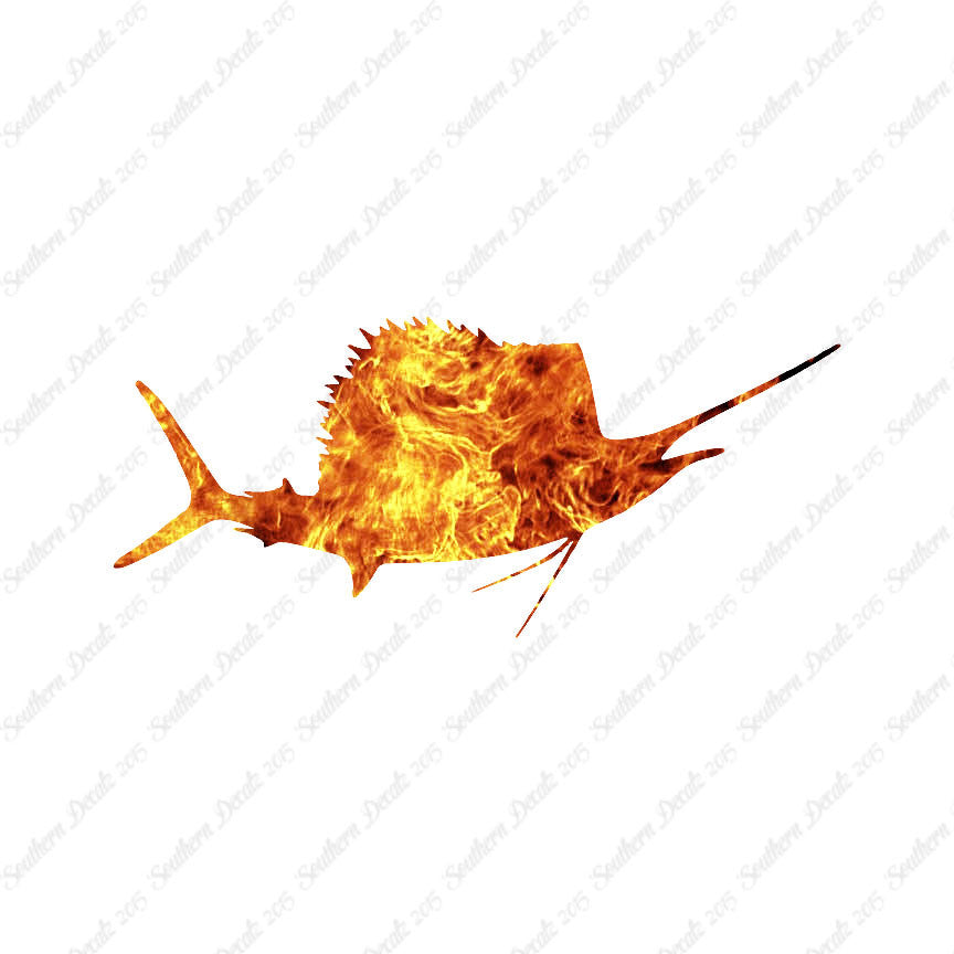 Sailfish Billfish Fish