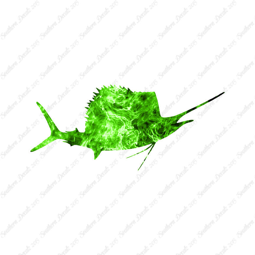Sailfish Billfish Fish