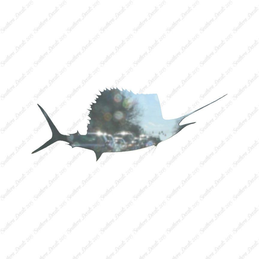 Sailfish Billfish Fish