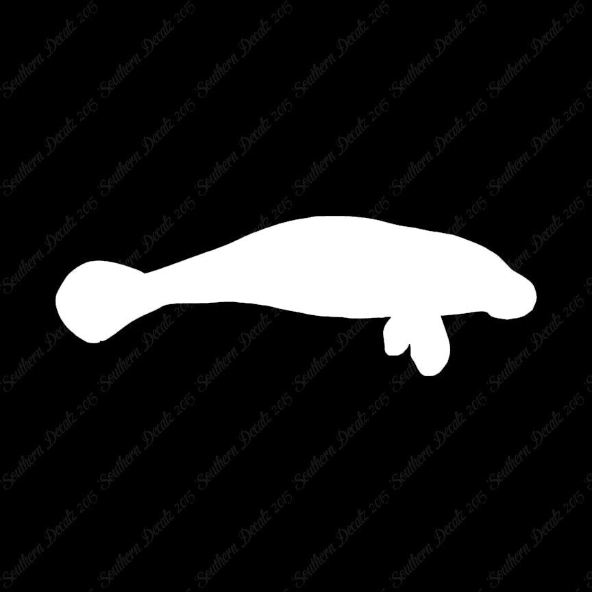 Manatee Sea Cow