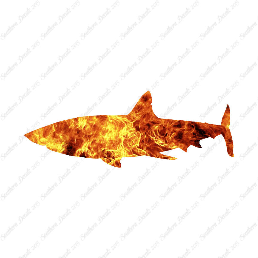 Great Shark