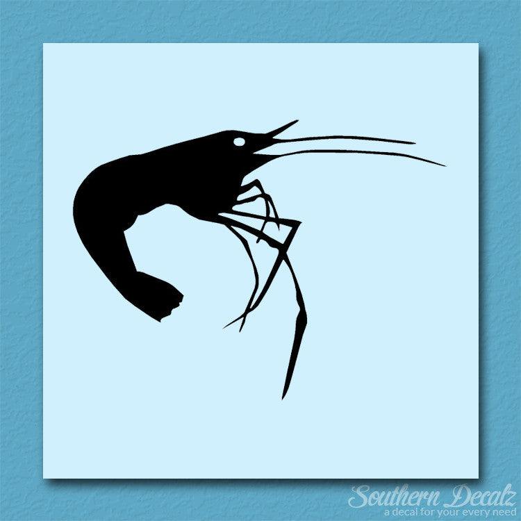 Shrimp Prawn