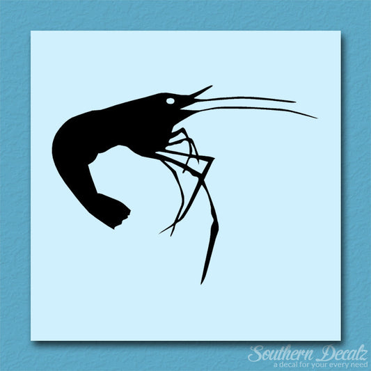 Shrimp Prawn