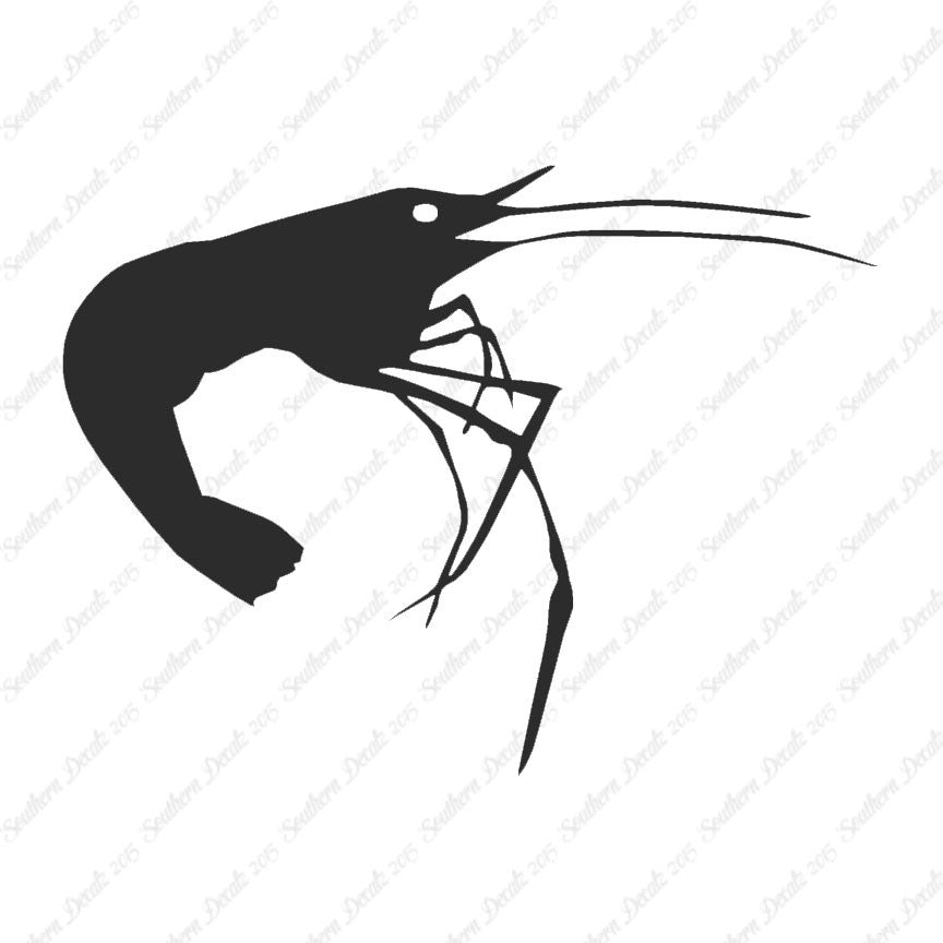 Shrimp Prawn