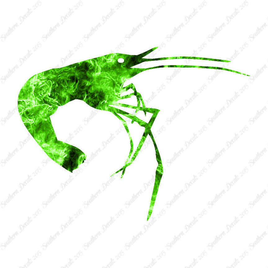 Shrimp Prawn