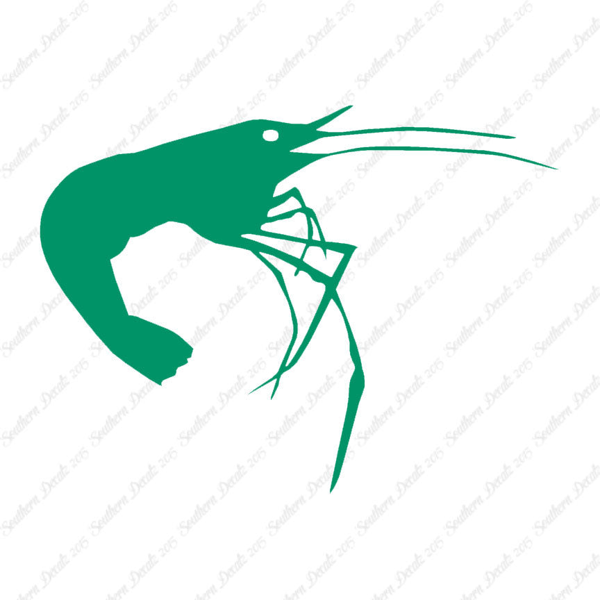 Shrimp Prawn