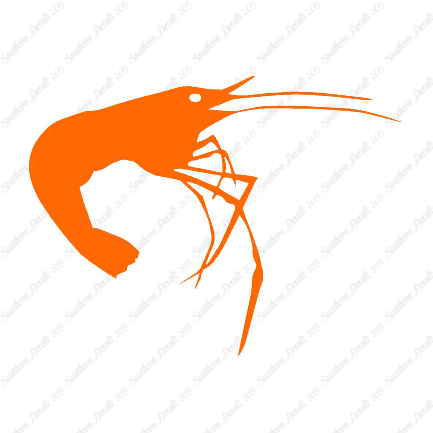 Shrimp Prawn