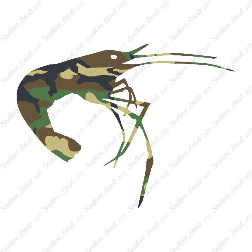 Shrimp Prawn