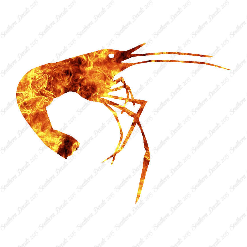 Shrimp Prawn