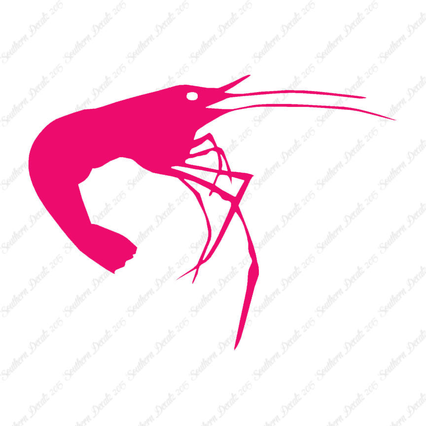 Shrimp Prawn