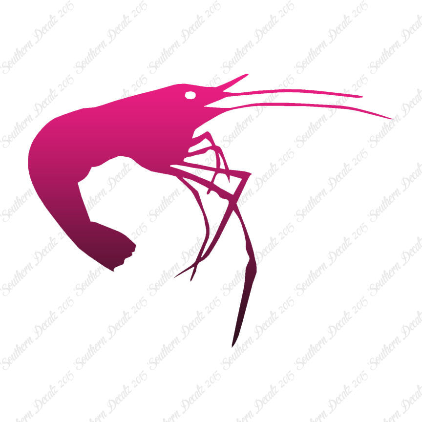 Shrimp Prawn