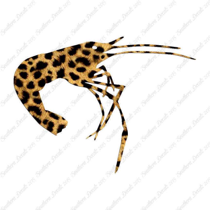 Shrimp Prawn