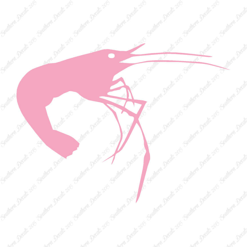 Shrimp Prawn