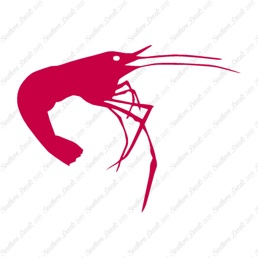 Shrimp Prawn