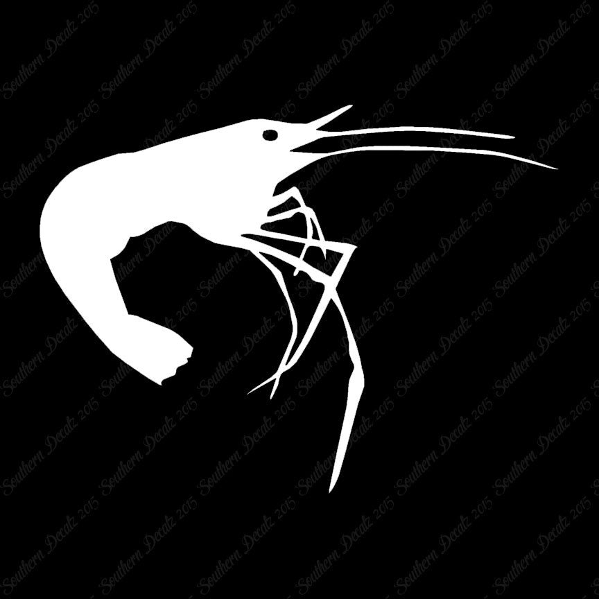 Shrimp Prawn